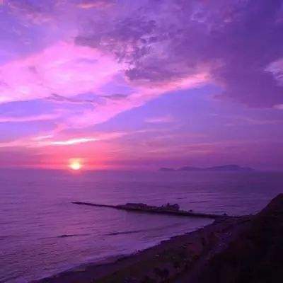 万博max体育官网手机版